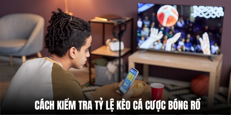 Cách kiểm tra tỷ lệ kèo cá cược bóng rổ